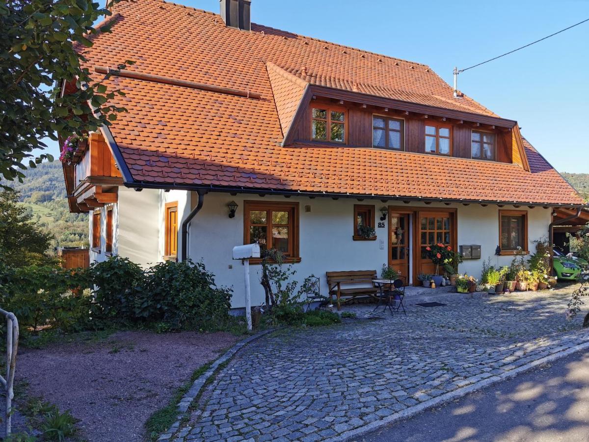 Ferienwohnung Am Fuchsbuehl Schopfheim Zewnętrze zdjęcie